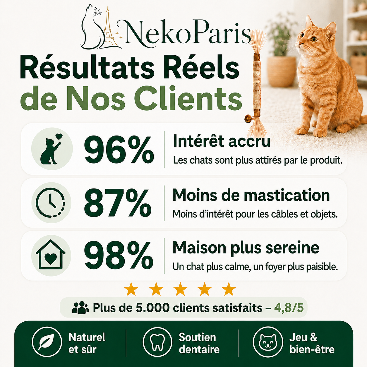 Neko Paris™ - Jouet en Matatabi 100% Organique pour Chats