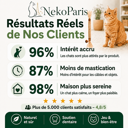 Neko Paris™ - Jouet en Matatabi 100% Organique pour Chats