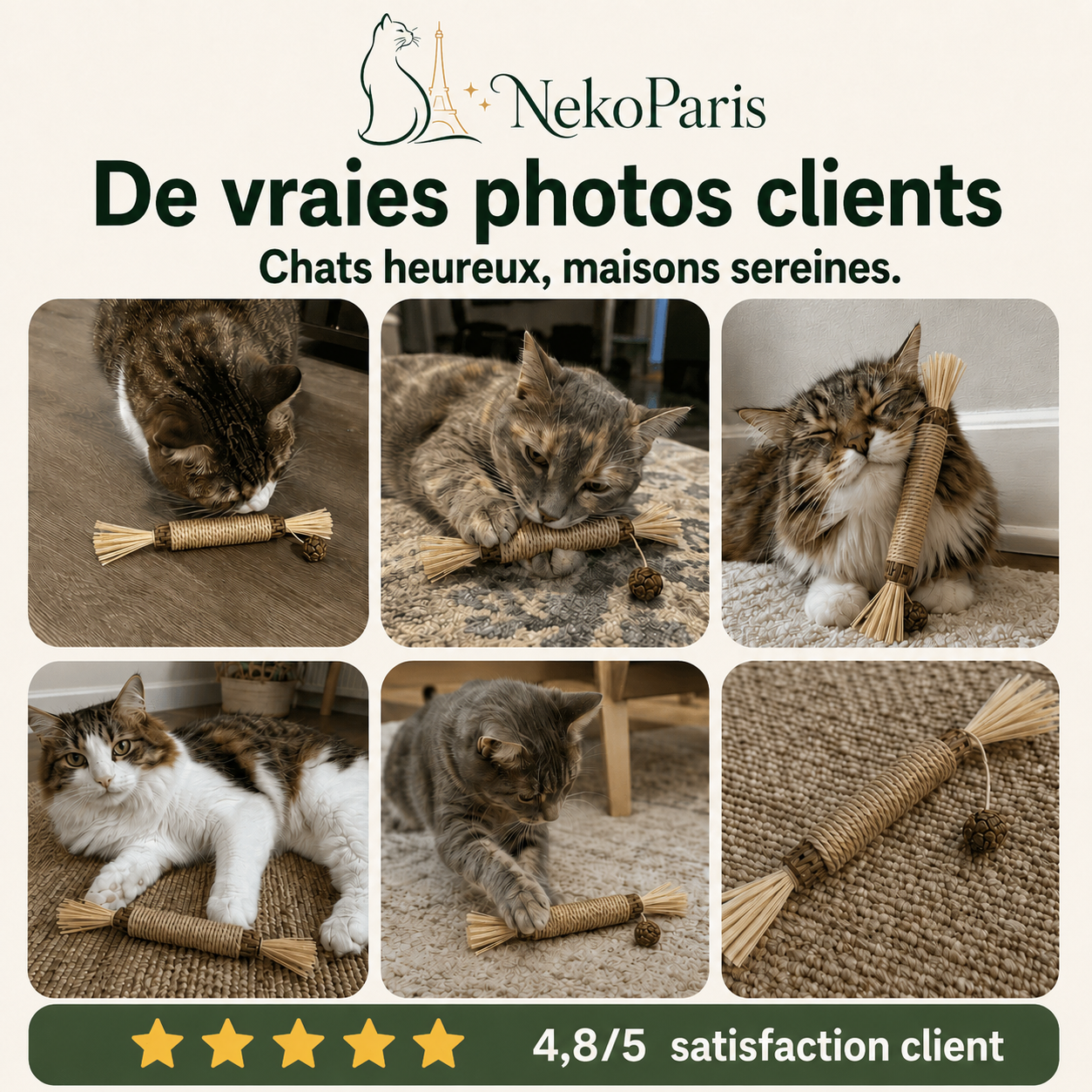 Neko Paris™ - Jouet en Matatabi 100% Organique pour Chats