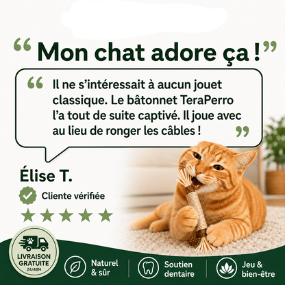 Neko Paris™ - Jouet en Matatabi 100% Organique pour Chats