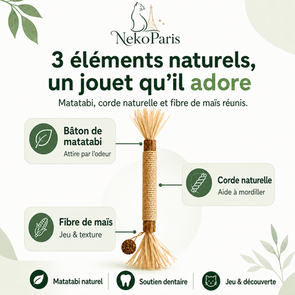 Neko Paris™ - Jouet en Matatabi 100% Organique pour Chats
