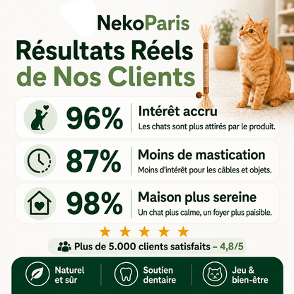 Neko Paris™ - Jouet en Matatabi 100% Organique pour Chats